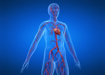 An In-Depth Examination of Vitamins and Their Role in Bodily Function