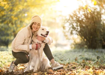 Tips On Protecting Your Pets All Year Round